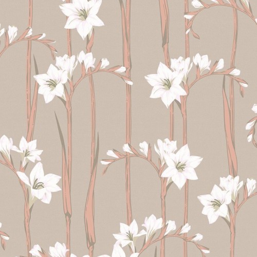 Обои Loymina Origins Gladiolus ALS2 012