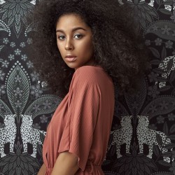 Обои Loymina Amazonia Tropical Chic Ins1 011