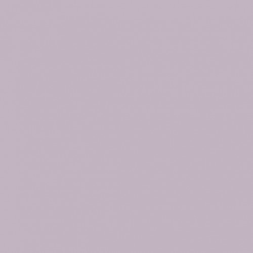 Краска Lanors Mons цвет Сирени Lilac 11 Exterior 4.5 л