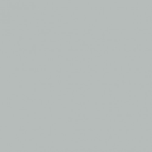 Краска Lanors Mons цвет Мышиный серый Mouse Grey 107 Interior 0,2 л
