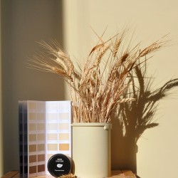 Краска Lanors Mons цвет Пчелиный воск Beeswax 190