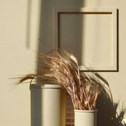 Краска Lanors Mons цвет Пчелиный воск Beeswax 190