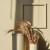 Краска Lanors Mons цвет Beeswax 190 Satin 1 л фото в интерьере