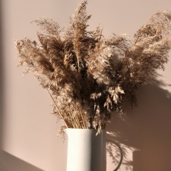 Краска Lanors Mons цвет Античная камея Antique cameo 191