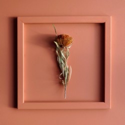 Краска Lanors Mons цвет Тыквенный соус Pumpkin sauce 192