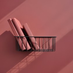 Краска Lanors Mons цвет Carmine 193