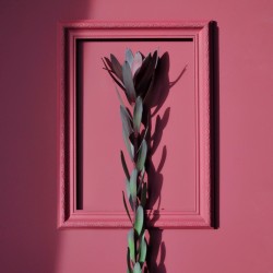 Краска Lanors Mons цвет Бирманский рубин Burmese ruby 197