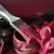 Краска Lanors Mons цвет Burmese ruby 197 Eggshell 1 л фото в интерьере