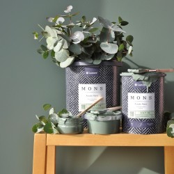 Краска Lanors Mons цвет Эвкалиптовый лес Eucalyptus forest 199