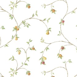 Обои Aura Creative Kitchens CK36607