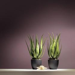 Обои Hygge Hg7 022 10,05×1