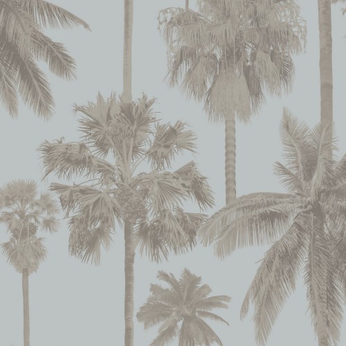 Обои Architector Malibu Coconut palms ML01414