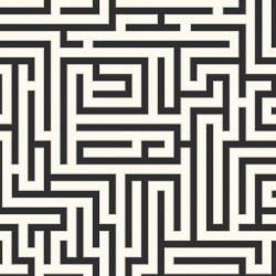 Обои Architector Black & white Maze ZN50300