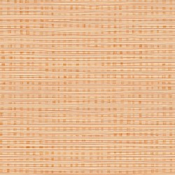Обои Architector Little Genius Day Dreamers Grasscloth DA61301