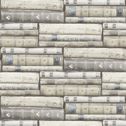 Обои KT Exclusive Vintage Home II Library MV81808