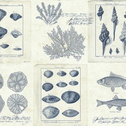 Обои KT Exclusive Destination USA TH50902