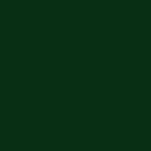 Краска Little Greene цвет Dark Brunswick Green 88 Exterior Eggshell 2.5 л