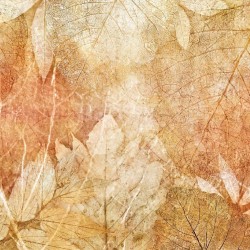 Панно Affresco New Art RE204-COL2 2x2,68 м