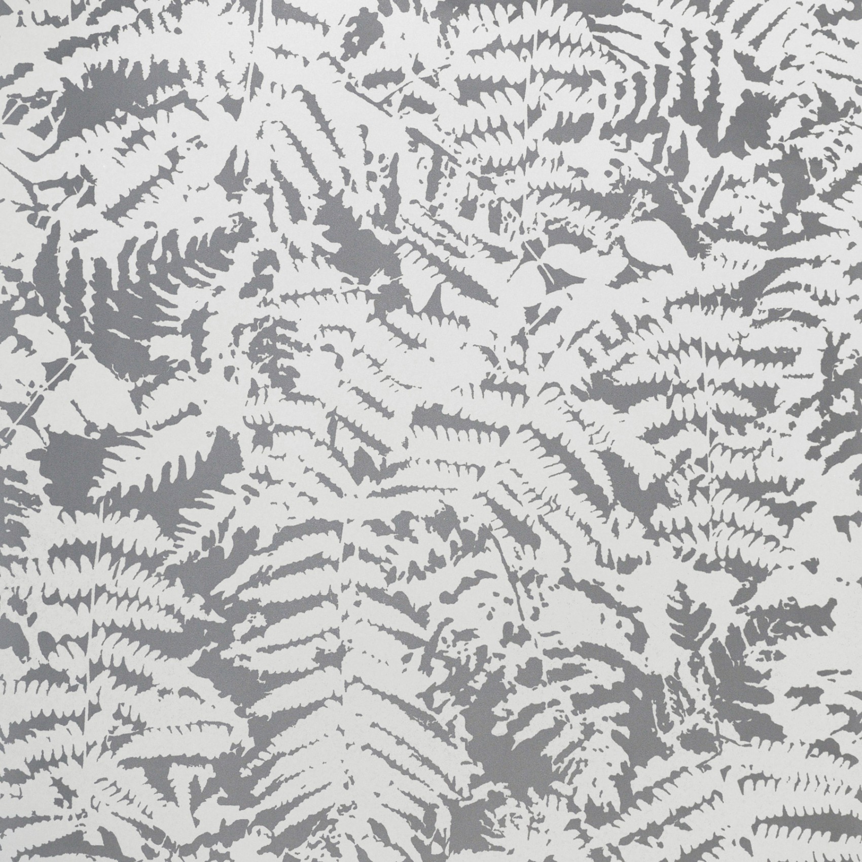 Обои Little Greene 20th Century Papers Fern - Сlearing 0288FECLEAR