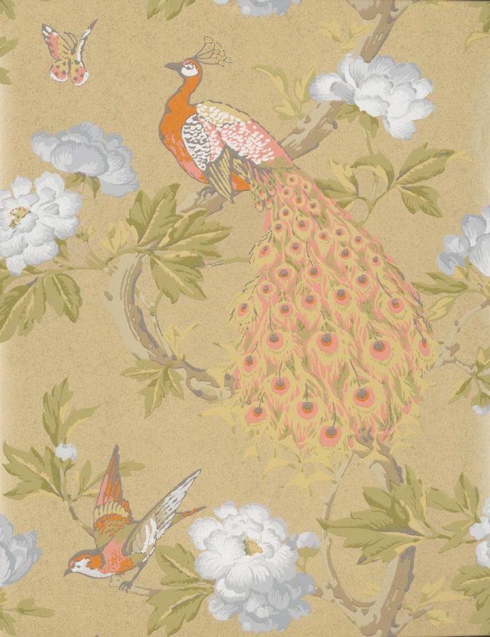 Обои Little Greene National Trust Papers Pavona - Gina 0245PAGINAZ