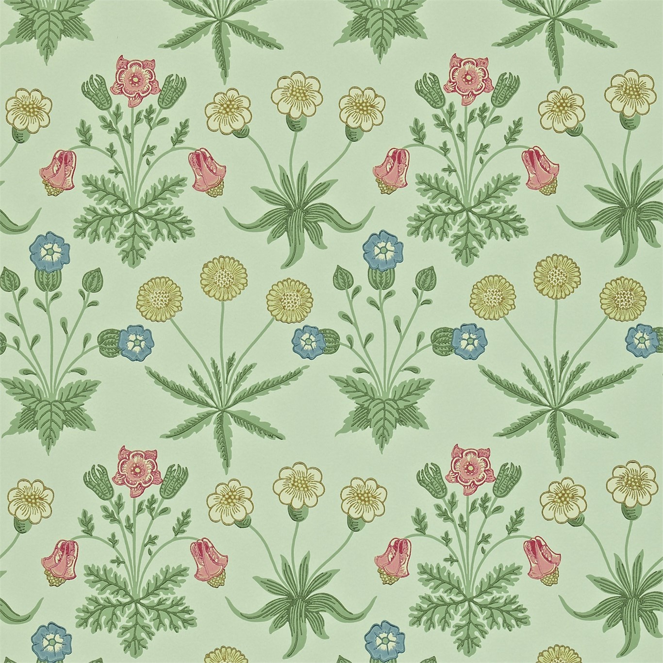 Обои Morris Archive Wallpapers II Daisy 212559