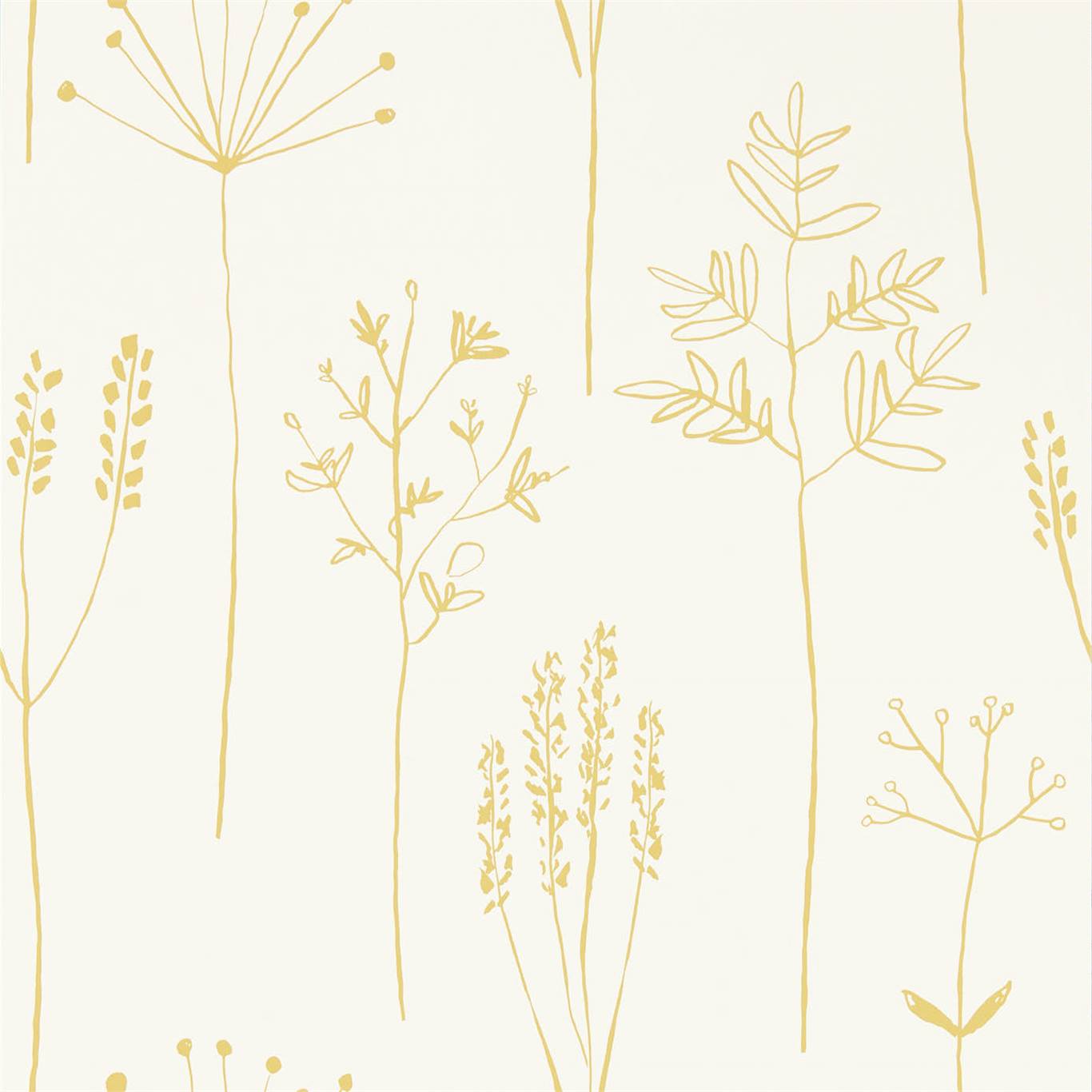 Обои Scion Zanzibar Stipa 112021