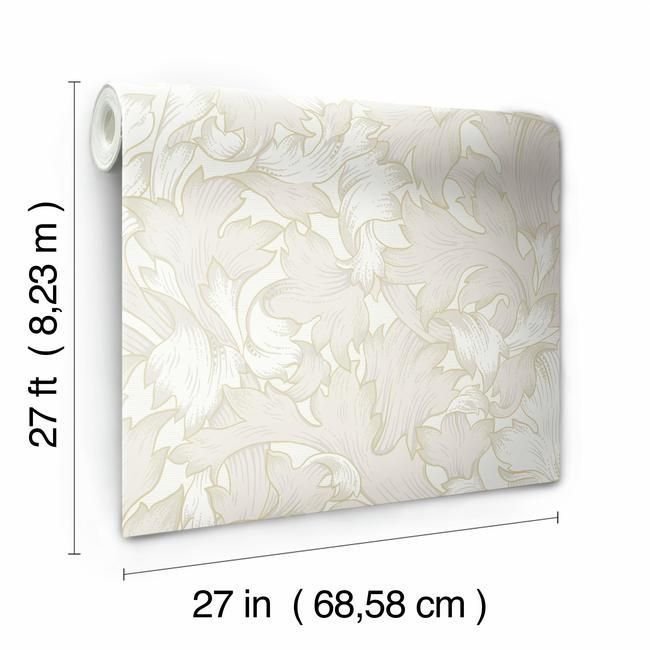 Обои York Modern Heritage 125th Anniversary Acanthus Toss NV5508