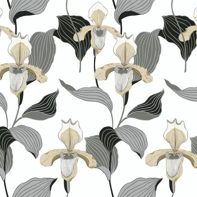 Обои York Modern Heritage 125th Anniversary Lady Slipper NV5524