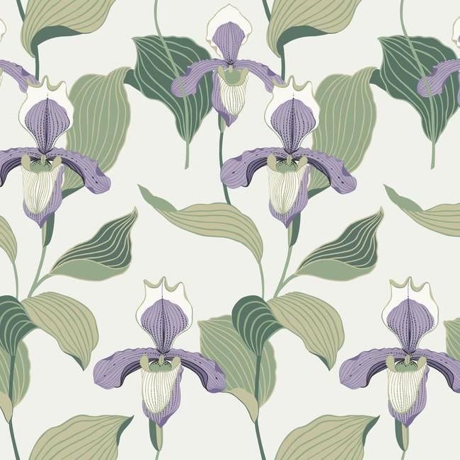 Обои York Modern Heritage 125th Anniversary Lady Slipper NV5528