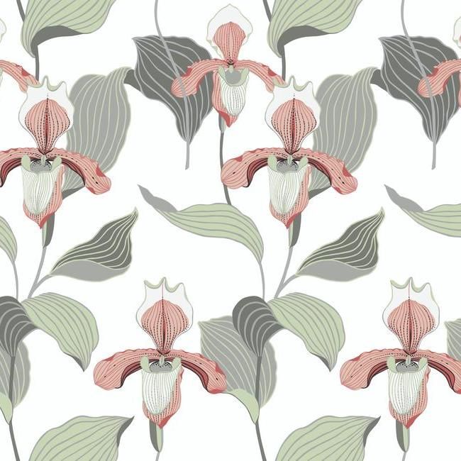 Обои York Modern Heritage 125th Anniversary Lady Slipper NV5529