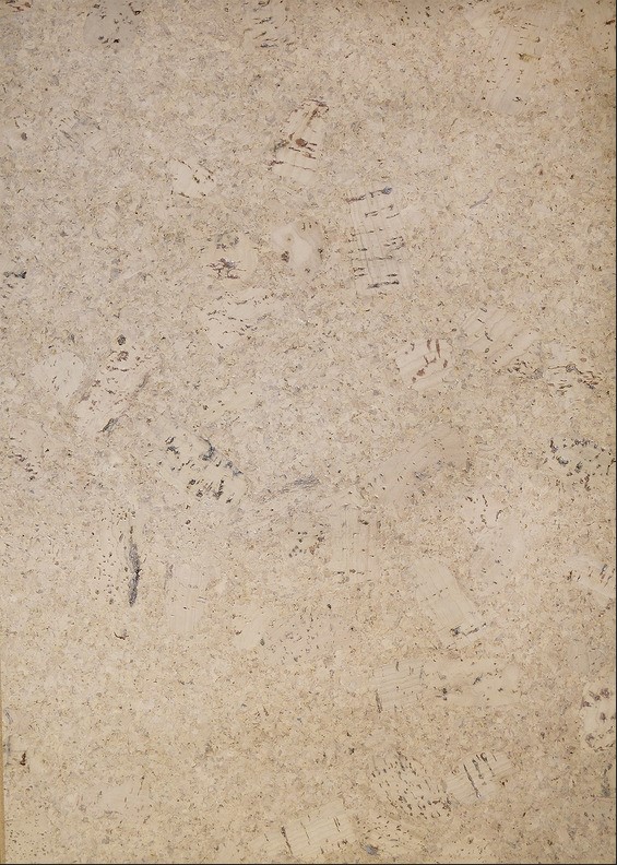 Пробковый пол замковый CorkArt Lite 319v CN 900×300×10 Пробковый пол замковый CorkArt Lite 319v CN 900×300×10