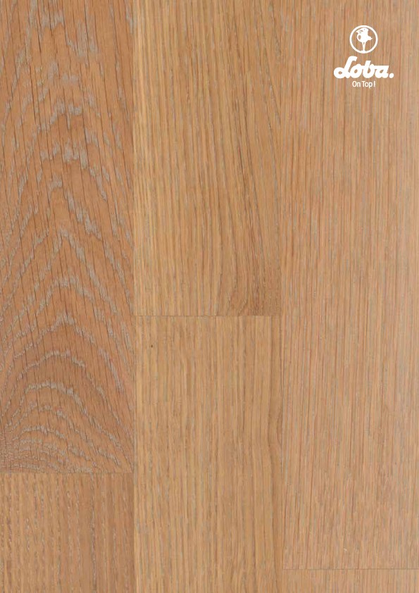 Цветное масло с твердым воском Loba Markant Color сильвер 0,75 л Цветное масло с твердым воском Loba Markant Color сильвер 0,75 л