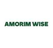 Логотип Amorim Wise
