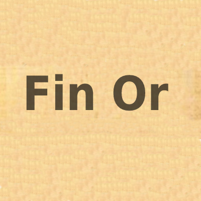 Логотип Fin Or
