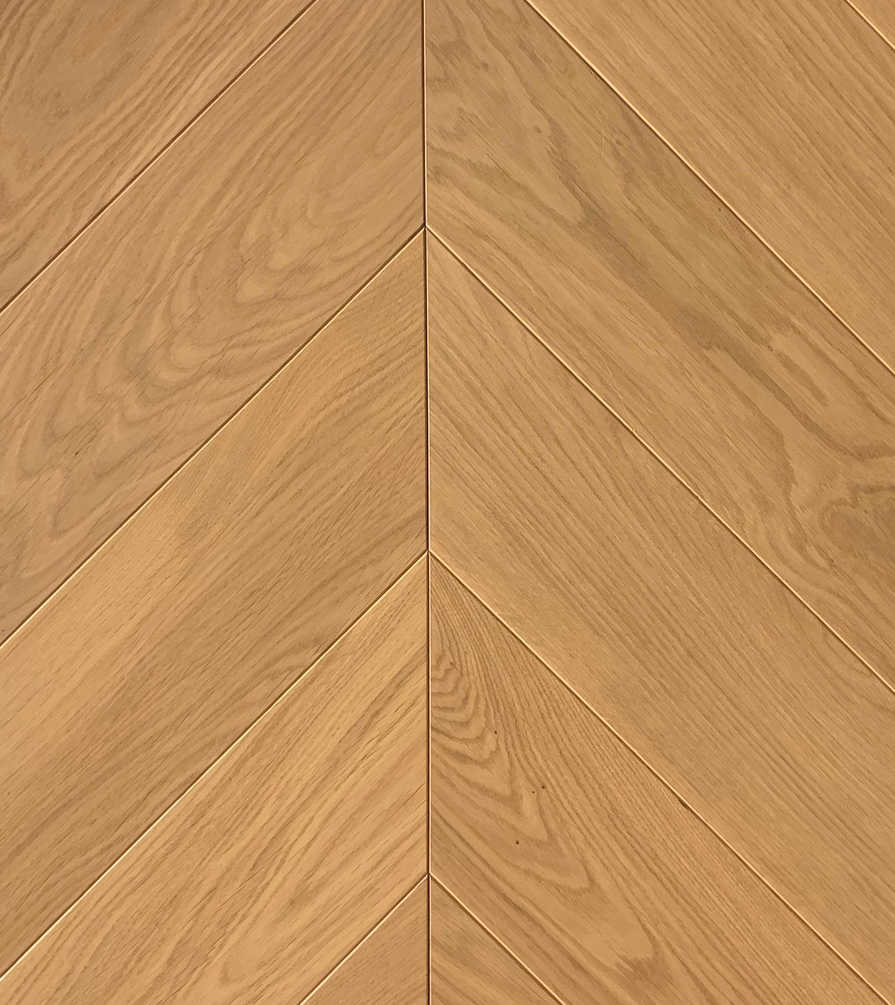 Инженерная доска Hajnowka Дуб Caldos R французская елка 800×145×15 Инженерная доска Hajnowka Дуб Caldos R французская елка 800×145×15