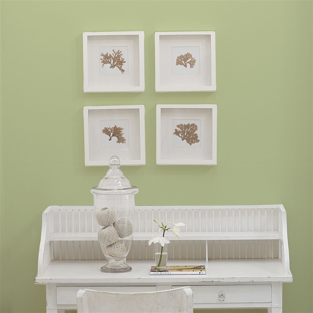 Краска Designers Guild цвет The Vert 108 Perfect Eggshell 5 л Краска Designers Guild цвет The Vert 108 Perfect Eggshell 5 л