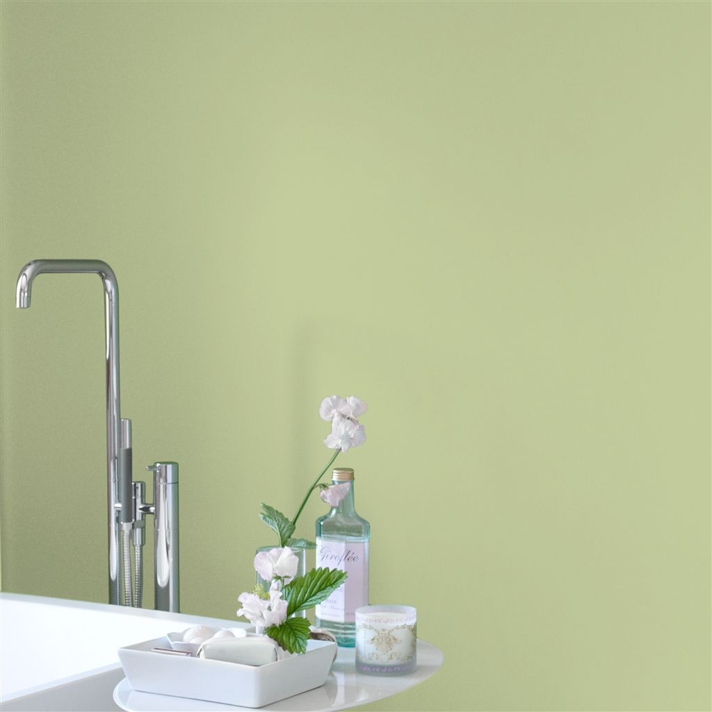 Краска Designers Guild цвет The Vert 108 Perfect Eggshell 5 л Краска Designers Guild цвет The Vert 108 Perfect Eggshell 5 л