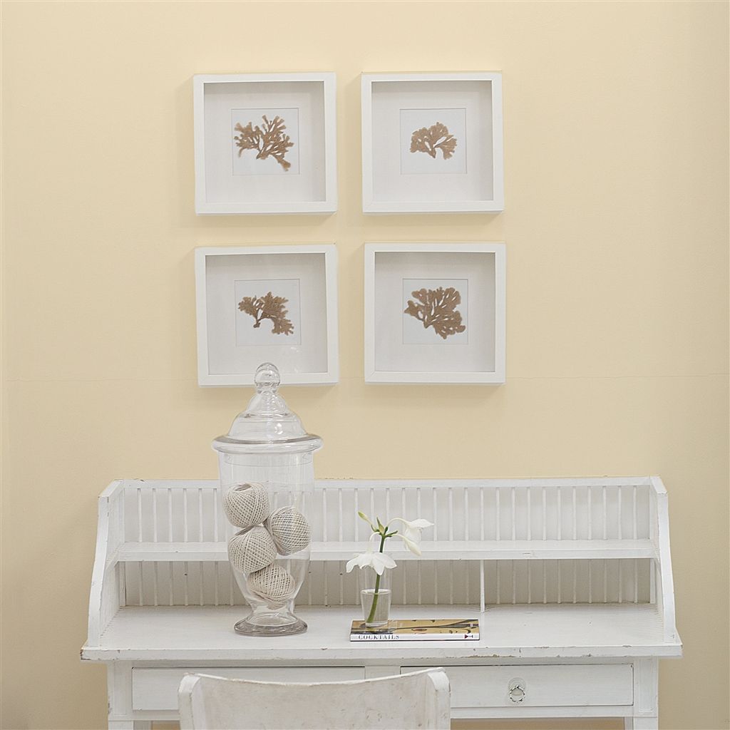 Краска Designers Guild цвет Wild Flax 115 Perfect Eggshell 1 л Краска Designers Guild цвет Wild Flax 115 Perfect Eggshell 1 л