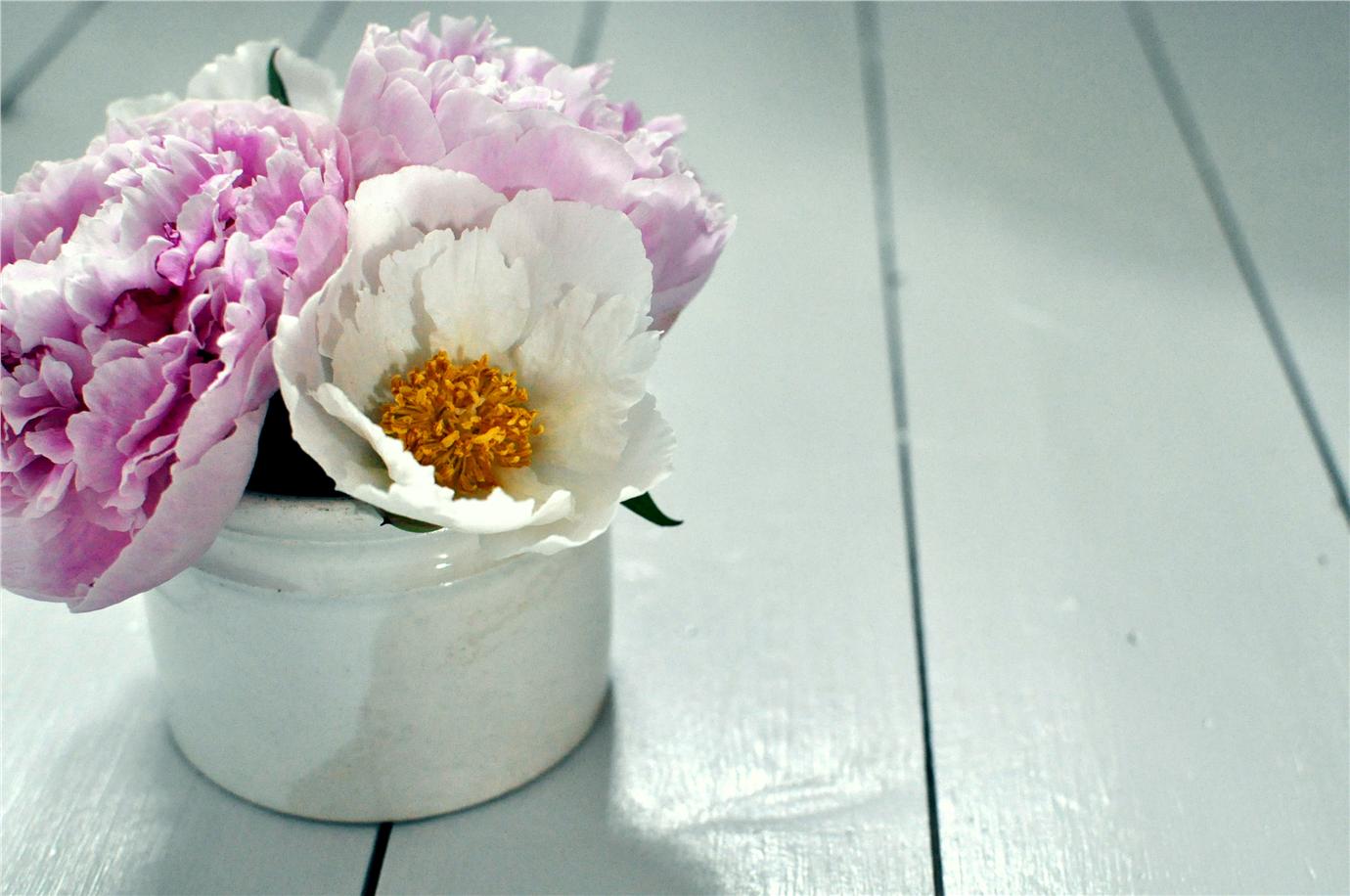 Краска Farrow & Ball цвет Blackened 2011 Estate Emulsion 0,1 л фото в интерьере Краска Farrow & Ball цвет Blackened 2011 Estate Emulsion 0,1 л фото в интерьере