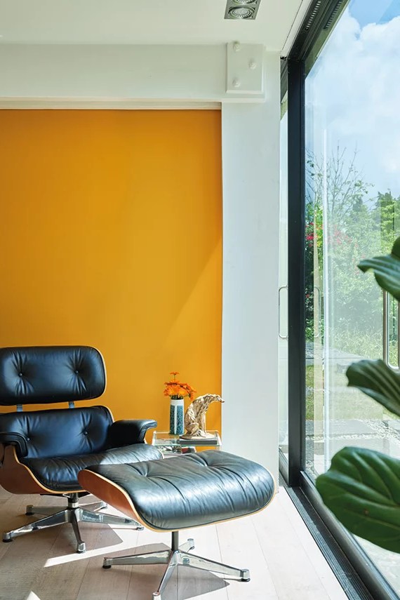 Краска Farrow & Ball Colour by Nature цвет Dutch Orange W76 Estate