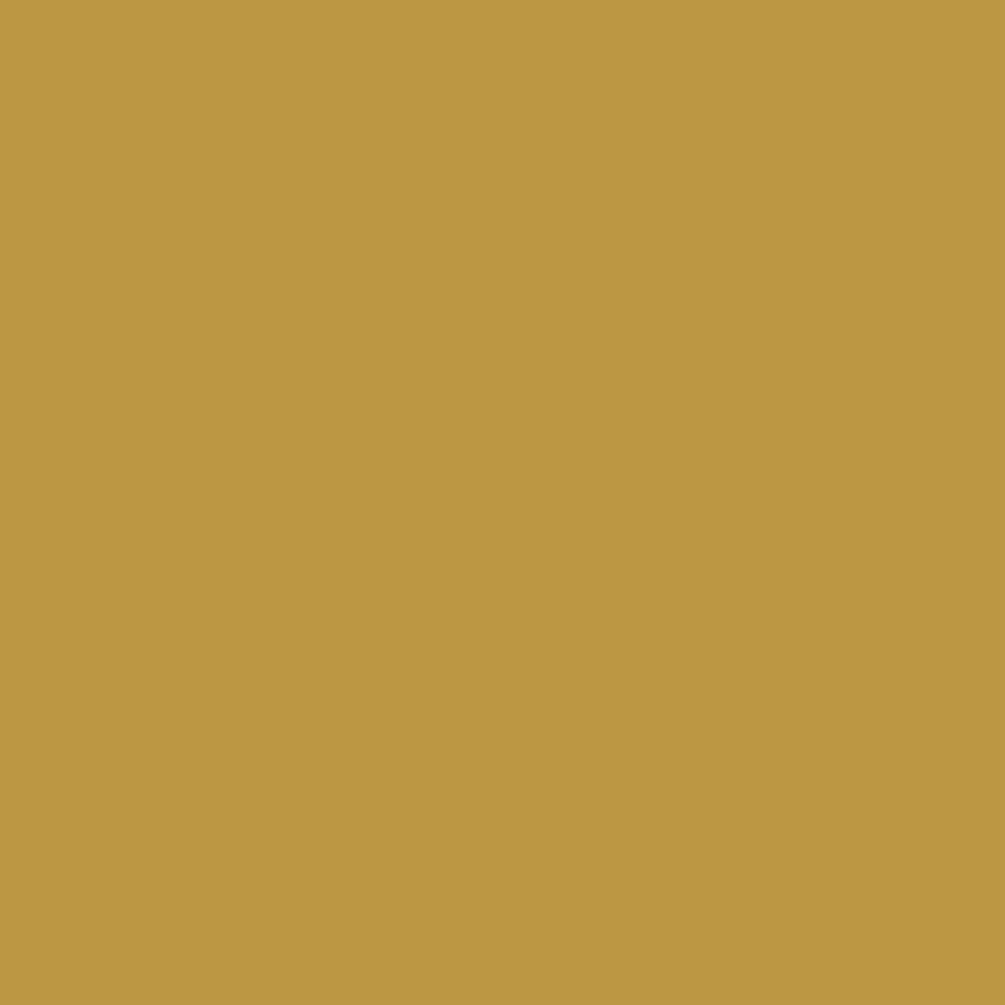 Краска Swiss Lake цвет Cider Toddy SL-0996 Special Facade & Socle 9 л