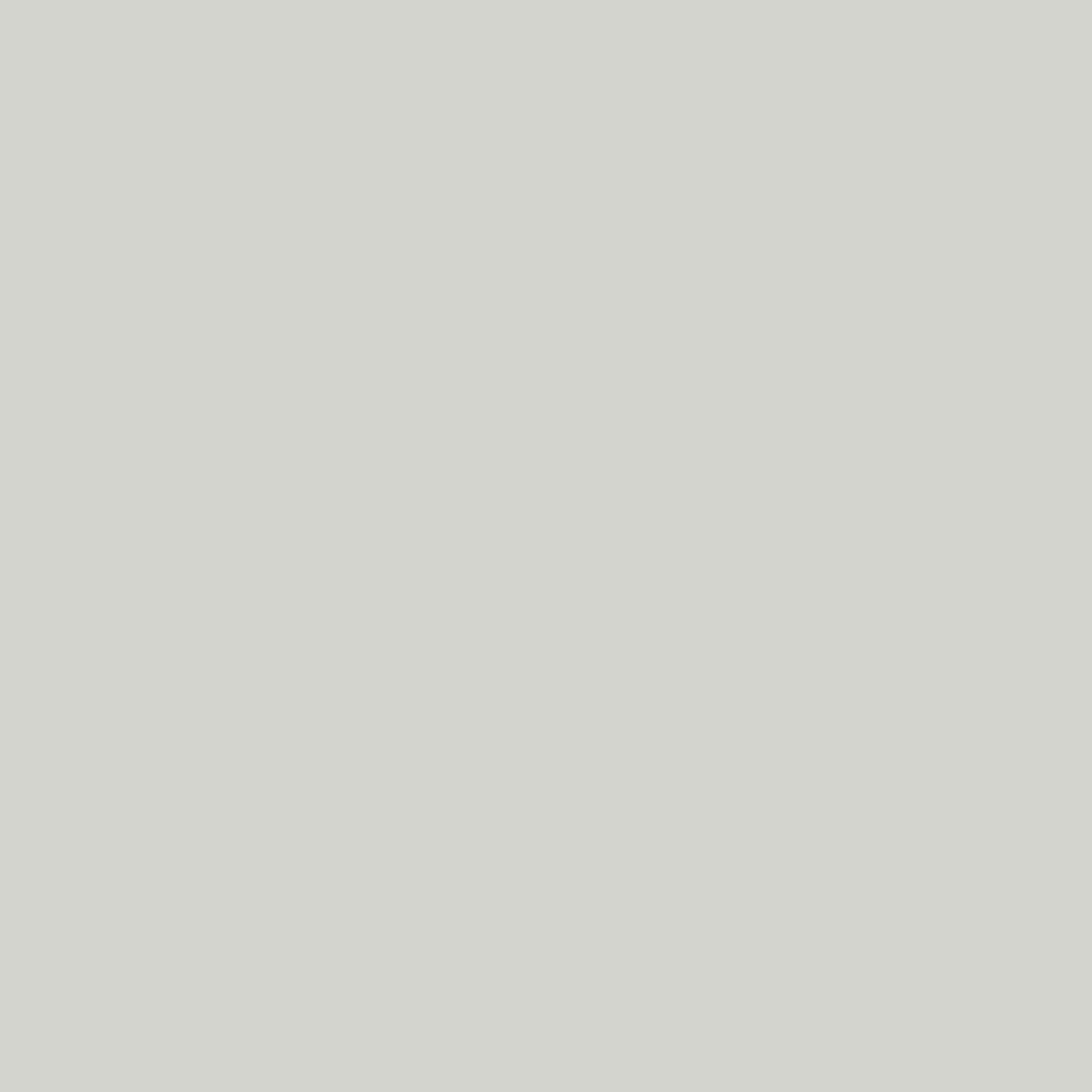 Краска Hygge цвет Saltbush HG06-016 Fleurs 0.4 л