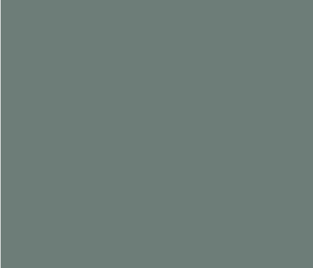 Краска Little Greene цвет Livid 263 Absolute Matt 0,25 л