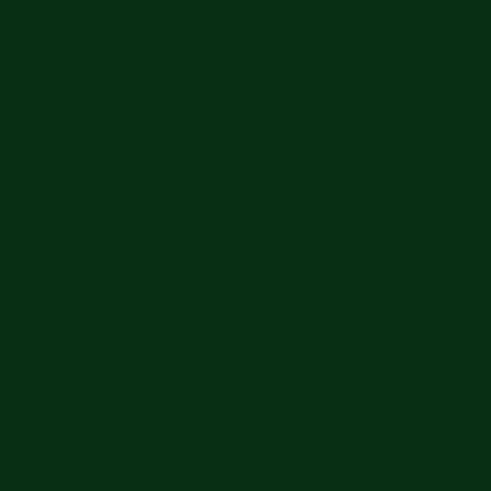 Краска Little Greene цвет Dark Brunswick Green 88 Absolute Matt 0,25 л