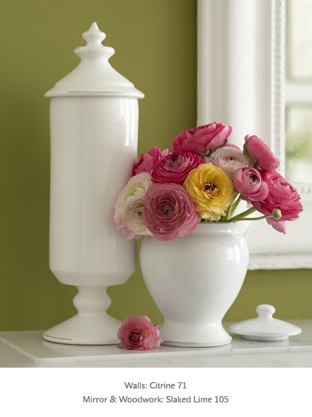 Краска Little Greene цвет Pale Lime 70 Absolute Matt 0,06 л