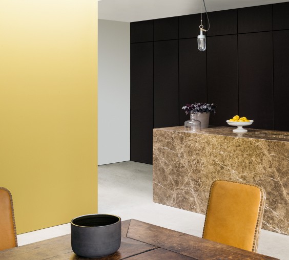 Краска Paint and Paper Library цвет Copper Beech 314 Pure Flat Emulsion 0,125 л фото в интерьере Краска Paint and Paper Library цвет Copper Beech 314 Pure Flat Emulsion 0,125 л фото в интерьере