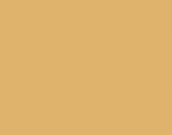 Краска Paint and Paper Library цвет Morning Room 447 Pure Flat Emulsion 0,25 л