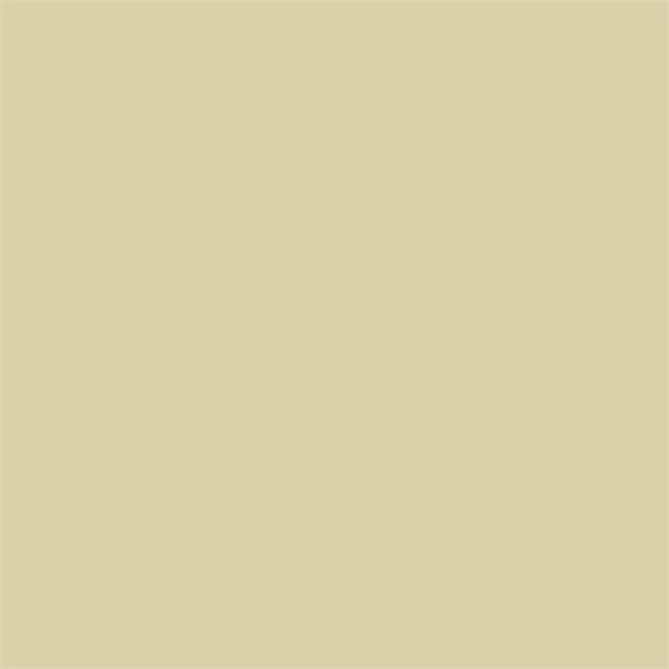 Краска Sanderson цвет Beach Tan Active Emulsion 0,2 л
