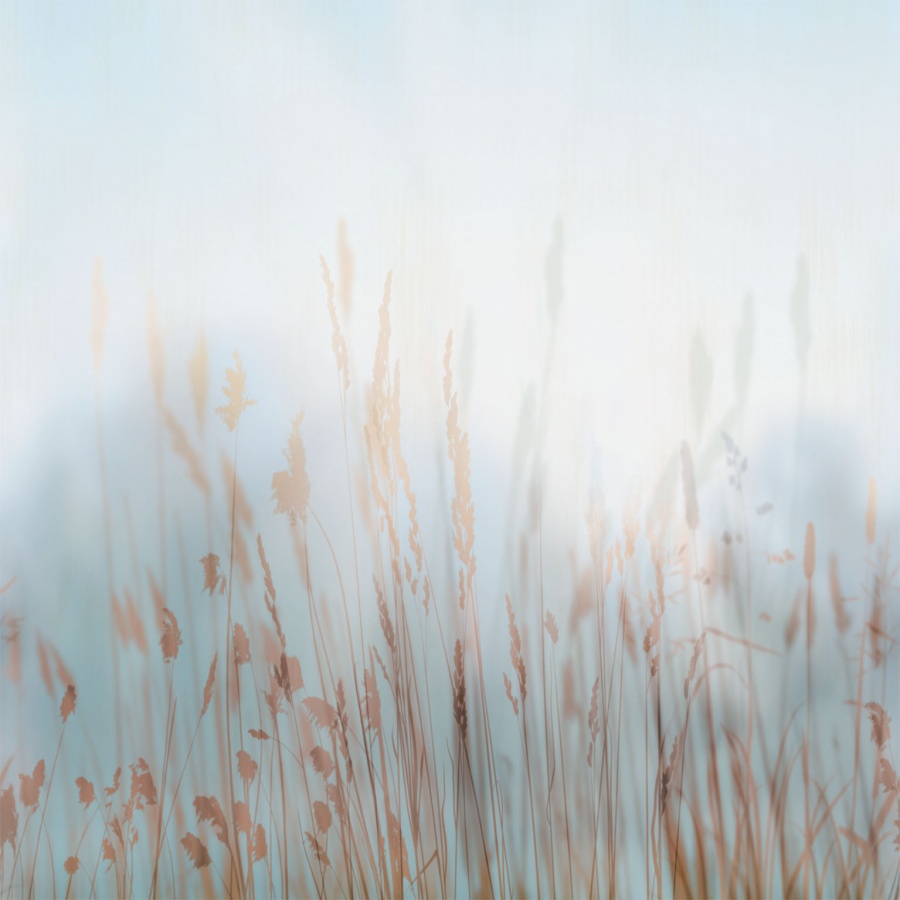 Панно Affresco Trend Art ZK420-COL2 2x2,01 м Панно Affresco Trend Art ZK420-COL2 2x2,01 м