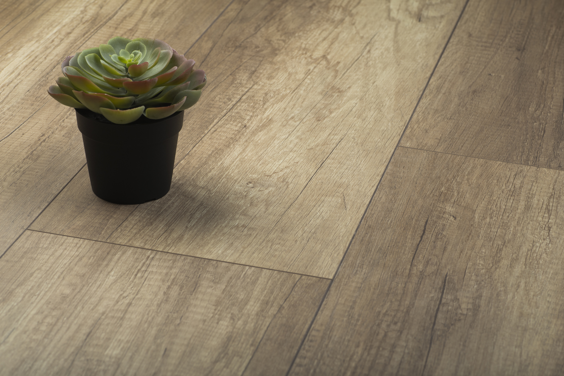 Ламинат Kronopol Platinium Paloma Oak Canyon D 3273 1380×244×8 Ламинат Kronopol Platinium Paloma Oak Canyon D 3273 1380×244×8